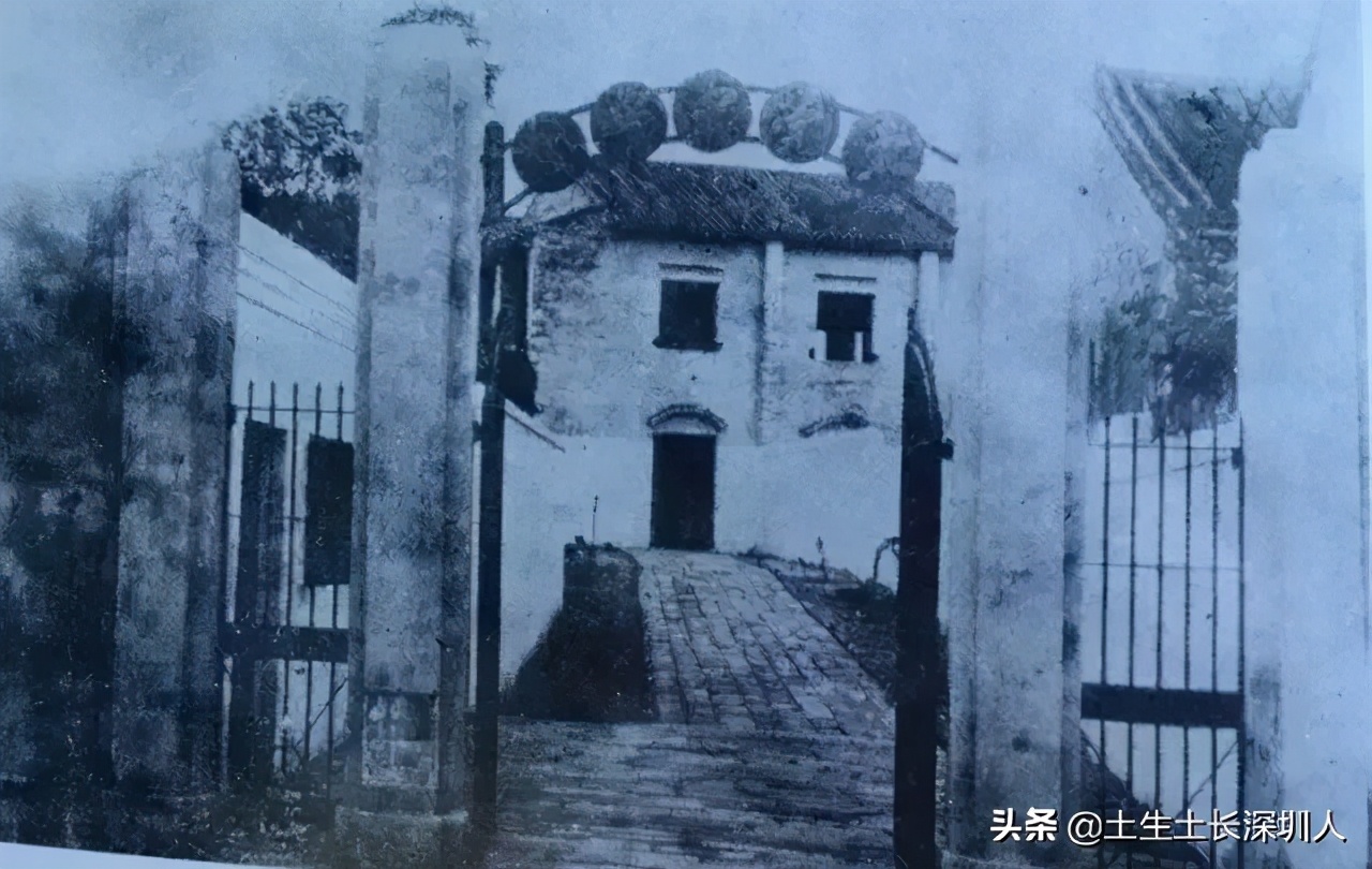 深圳广府家族,宗族文化在广东有多强