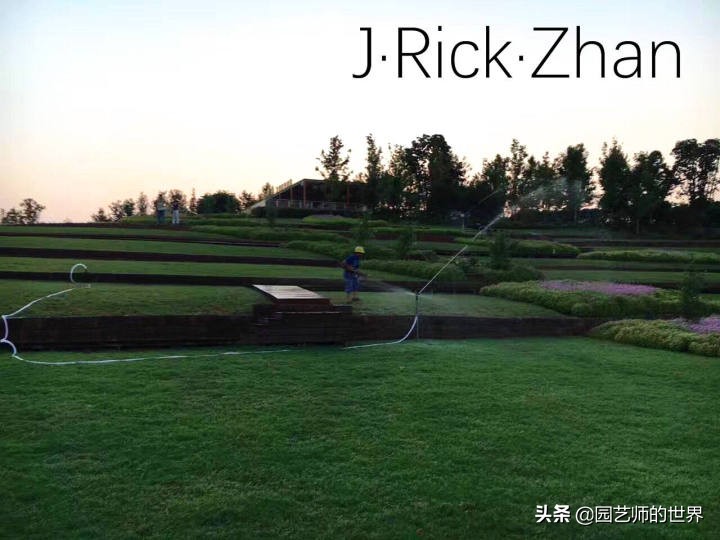 怎么种植草坪不长杂草,如何养好草坪