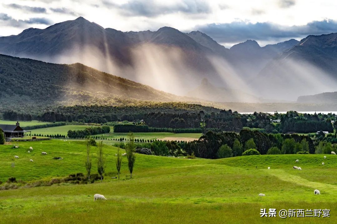 新西兰南半球最高多少米,新西兰的自由与浪漫