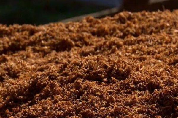 葡萄酒副产物综合利用（葡萄籽油您吃过吗？）