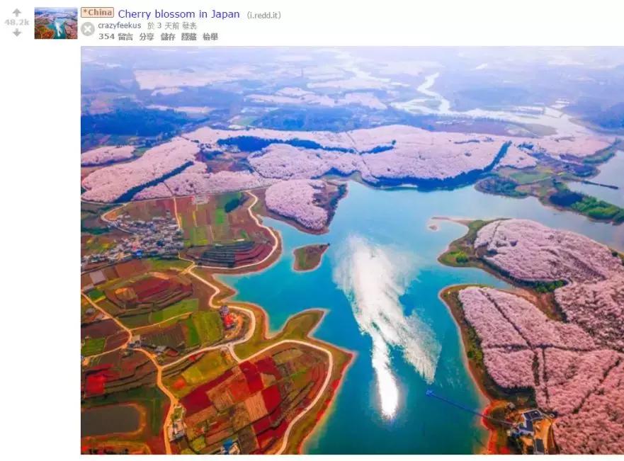 去日本观赏樱花最佳去哪个岛,去日本观赏樱花可能去什么岛