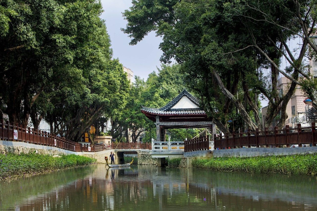 东莞麻涌美丽田园,东莞麻涌田园生活