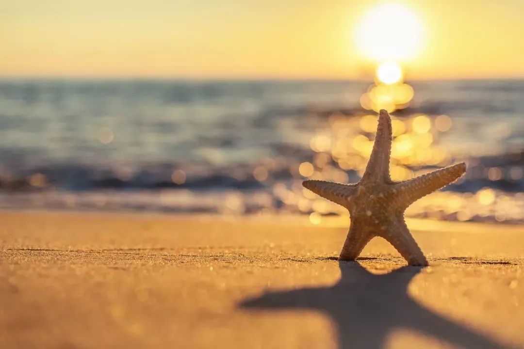 第三周复盘时间表,第23周复盘