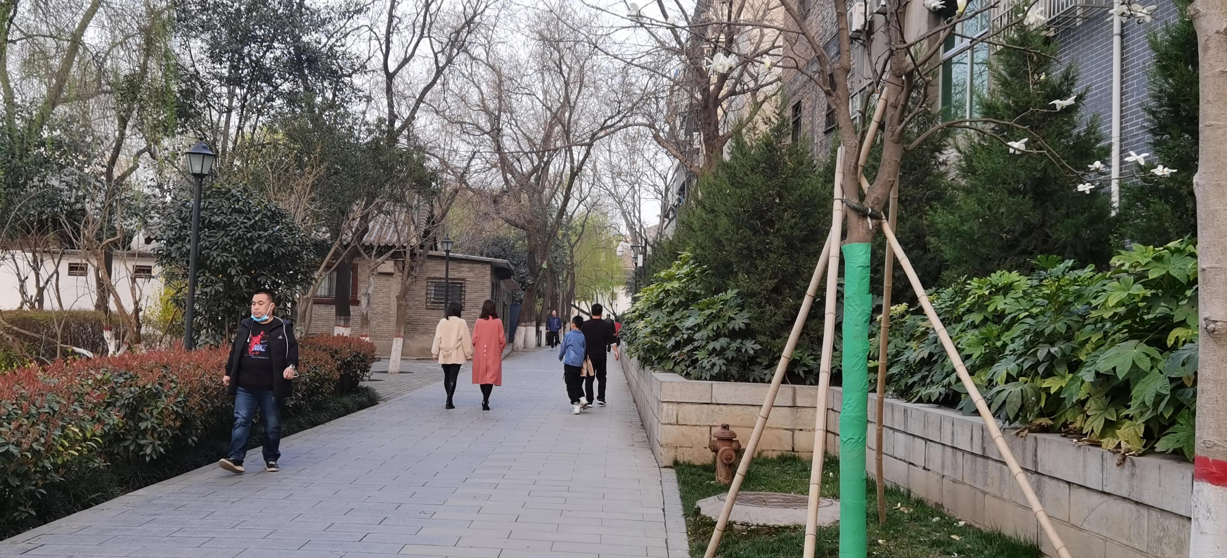 西安莲湖公园要门票吗,西安莲湖公园历史