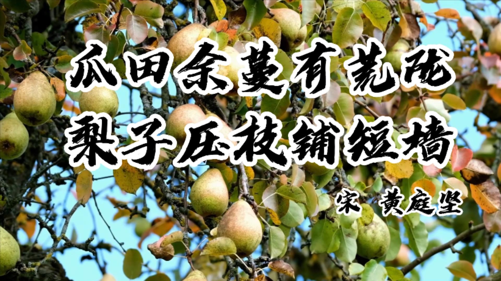 秋季时令水果的好处和注意事项,秋天哪些应季水果吃了对身体好