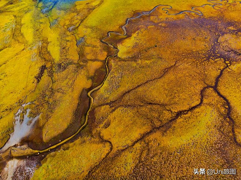 十大热门网红打卡点,2022年网红打卡地排行榜