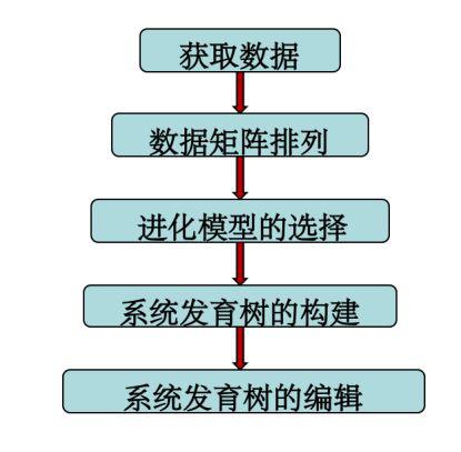 手把手教你构建漂亮的进化树,系统进化树怎么调试节点