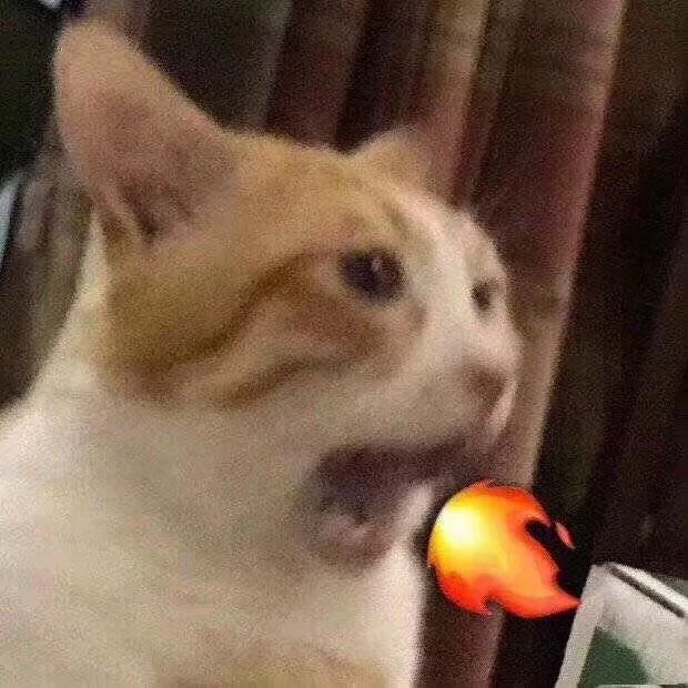 鎵撳亣鏇濆厜缃戠孩浜у搧,閬块浄鐨勪竴涓囦欢缃戠孩浜у搧