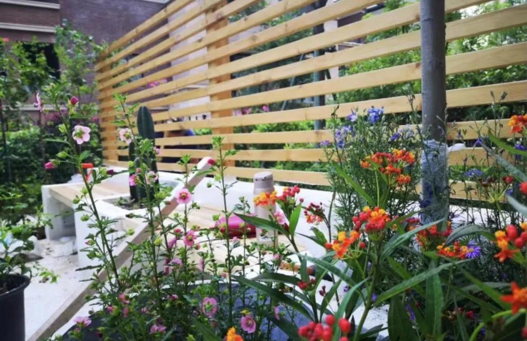 一楼值不值得买,现在新小区的一楼值不值得买