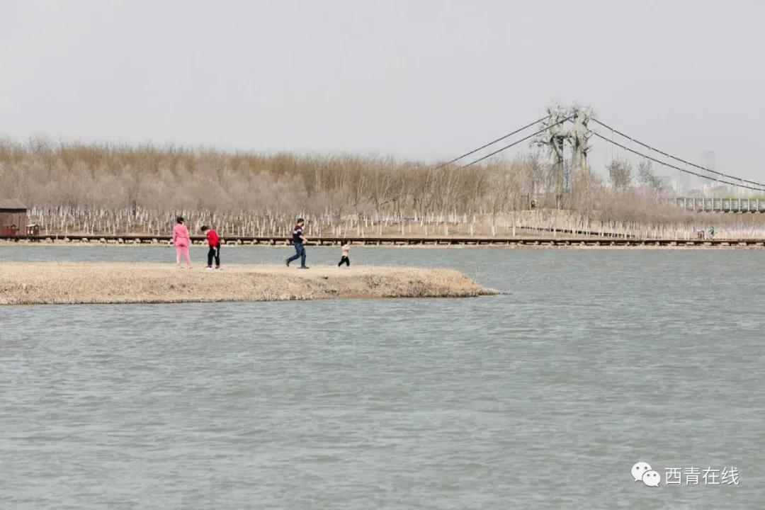 天津北辰郊野公园开放最新通知,天津都有哪些公园随时免费开放