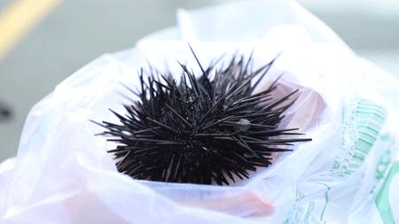 深圳10大旅游好去处,深圳盐田区周末休闲浪漫好去处