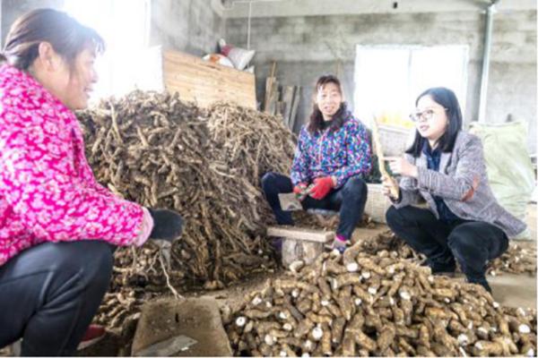 带领村民致富的女性,农村致富种植瓜蒌