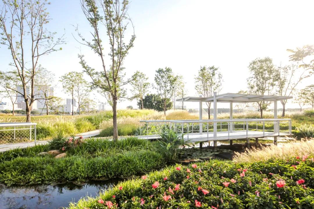 蝶变茅洲河，遇见城之美/同济设计TJAD