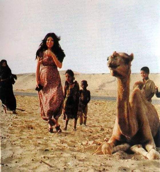 三毛为什么是个善良的人,三毛为什么是中国的英雄