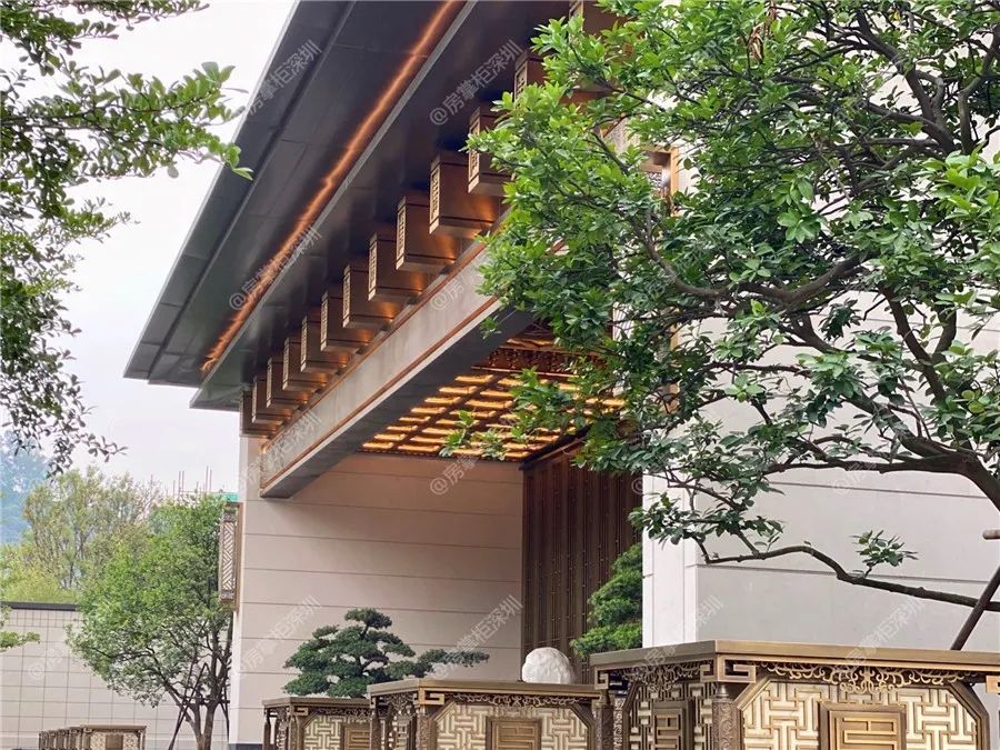 实探深圳新晋豪宅区,深圳尖岗山泰禾院子