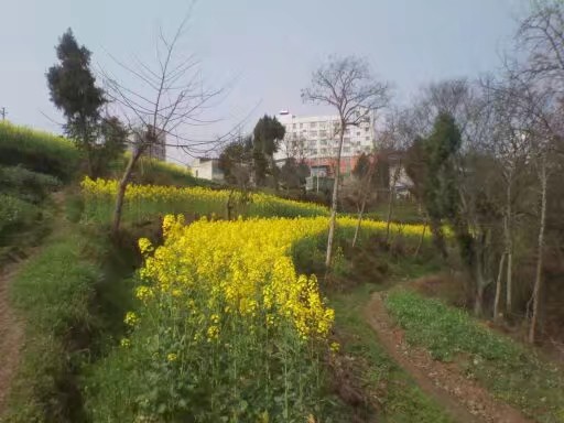 手机免费修复老照片软件,老照片扫描到手机