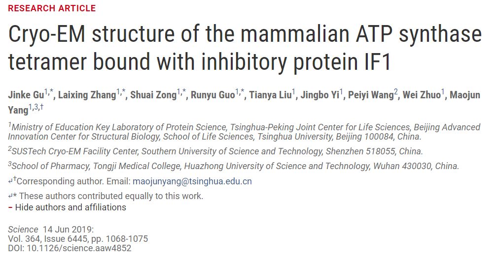 冷冻电镜最新研究,冷冻电镜研究成果涌现