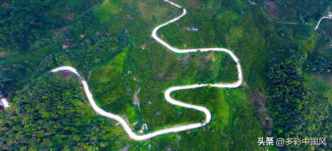 海南天然氧吧舒适景点,海南岛热带天然森林