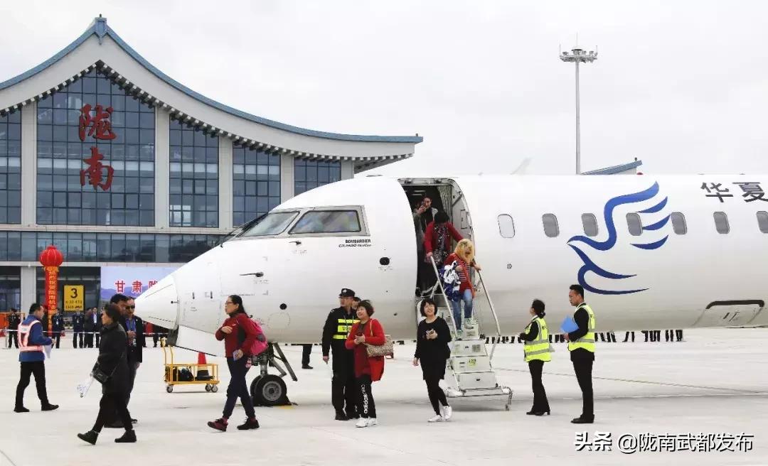 陇南市推动高质量发展的举措,陇南市发展战略