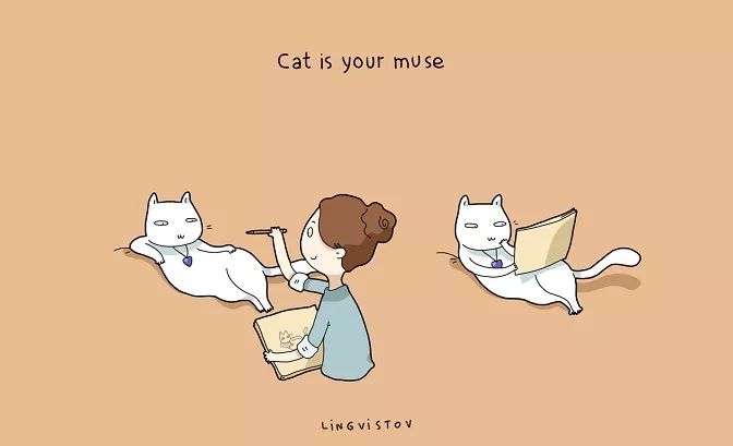 铲屎官的快乐你不懂,铲屎官的乐趣没有猫粮