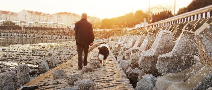 坤鹏论炒股,坤鹏论哲学研究的是什么