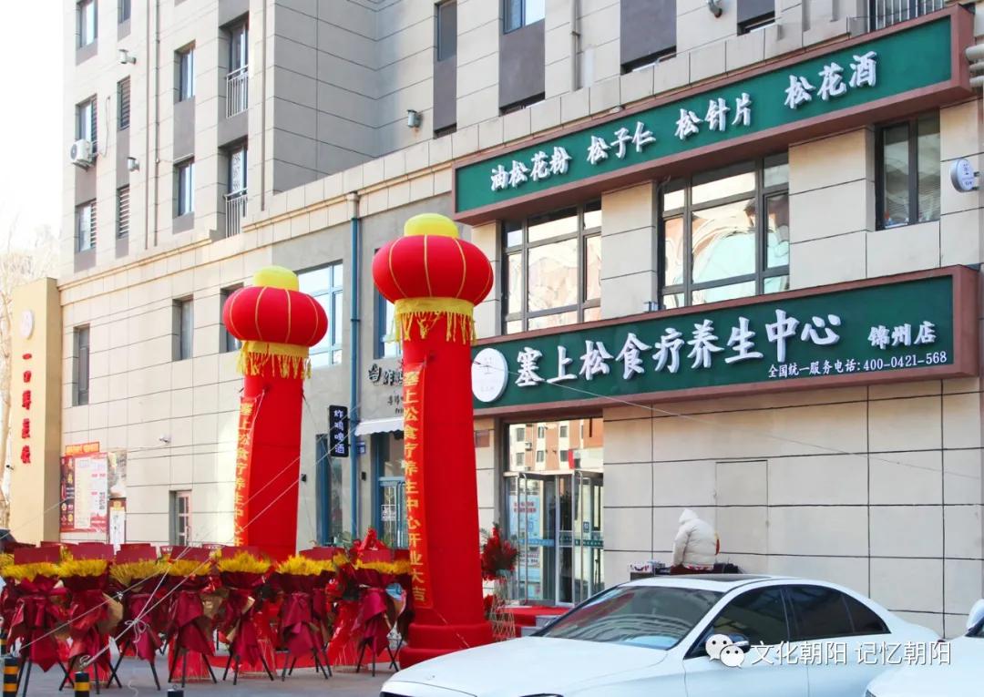 “塞上松”为锦绣之州锦上添花