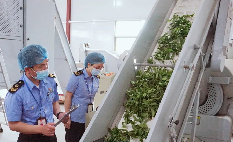 阳春三月茶香浓~查餐厅这份检“茶”结果出来啦