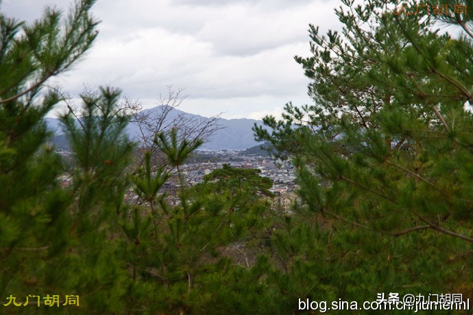京都岚山风景区在哪,京都岚山樱花