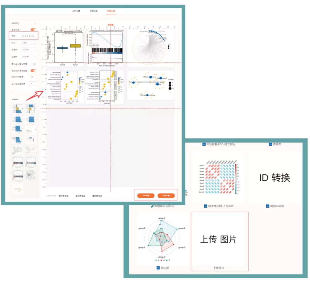 sci发表小技巧,零基础如何快速发表一篇sci