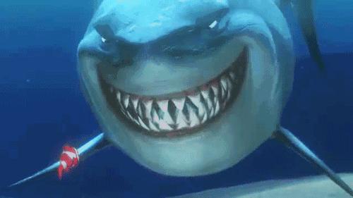 世界上最危险的五种动物第一名,18个看似无害其实很危险的动物