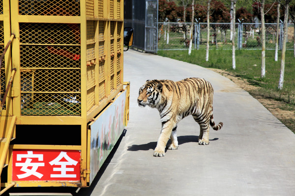 春游江淮请你来滁州版,春游江淮等您来