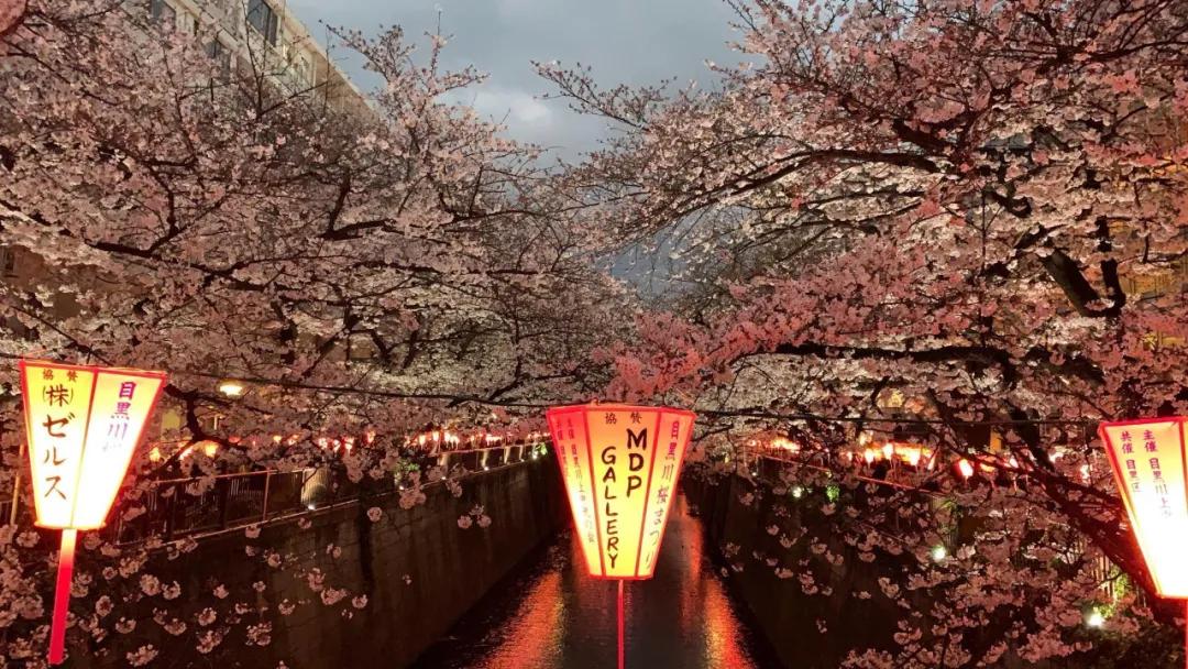 选择gapyear的你后悔了吗,真的需要gapyear吗