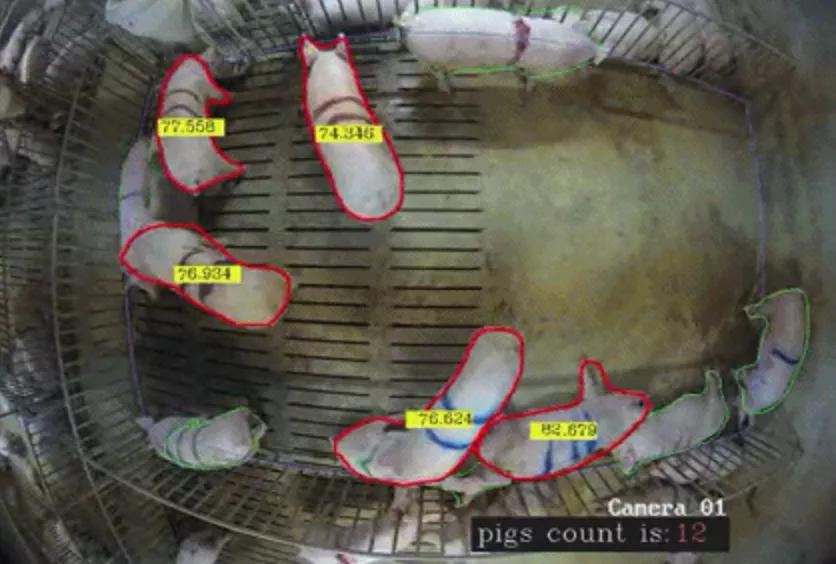 谊品生鲜开猪肉店,谊品猪肉开业