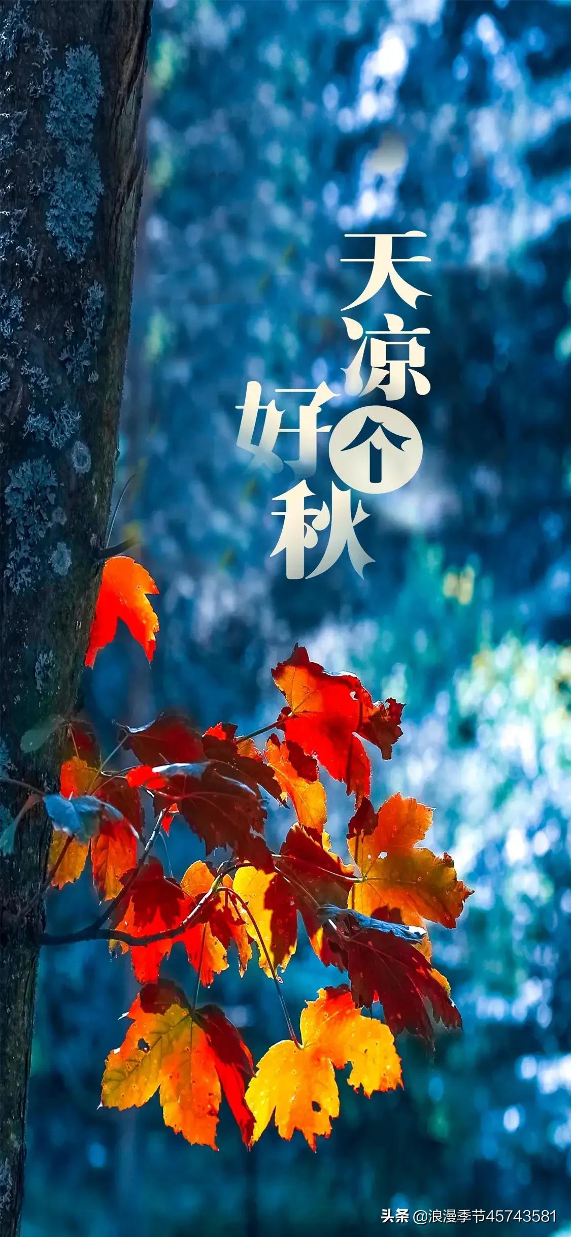 却道天凉好个秋散文800字,天凉好个秋散文500字