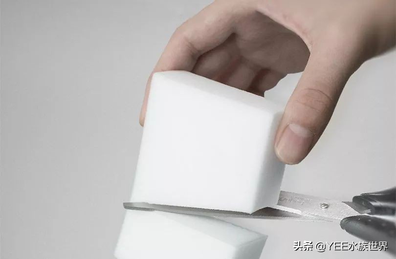 鱼缸除藻最好用的工具,鱼缸除褐藻绿藻工具