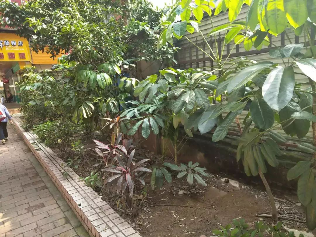 天河丨最美社区：老绢麻，新活力！看员村这个社区华丽转身