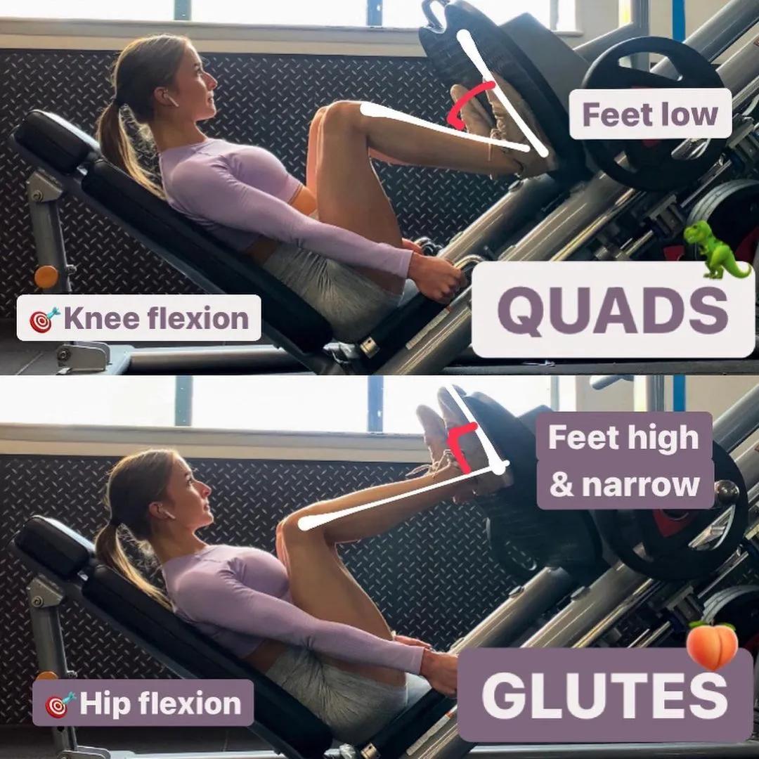 臀腿训练10套最佳动作图解,健身臀腿训练方法图解