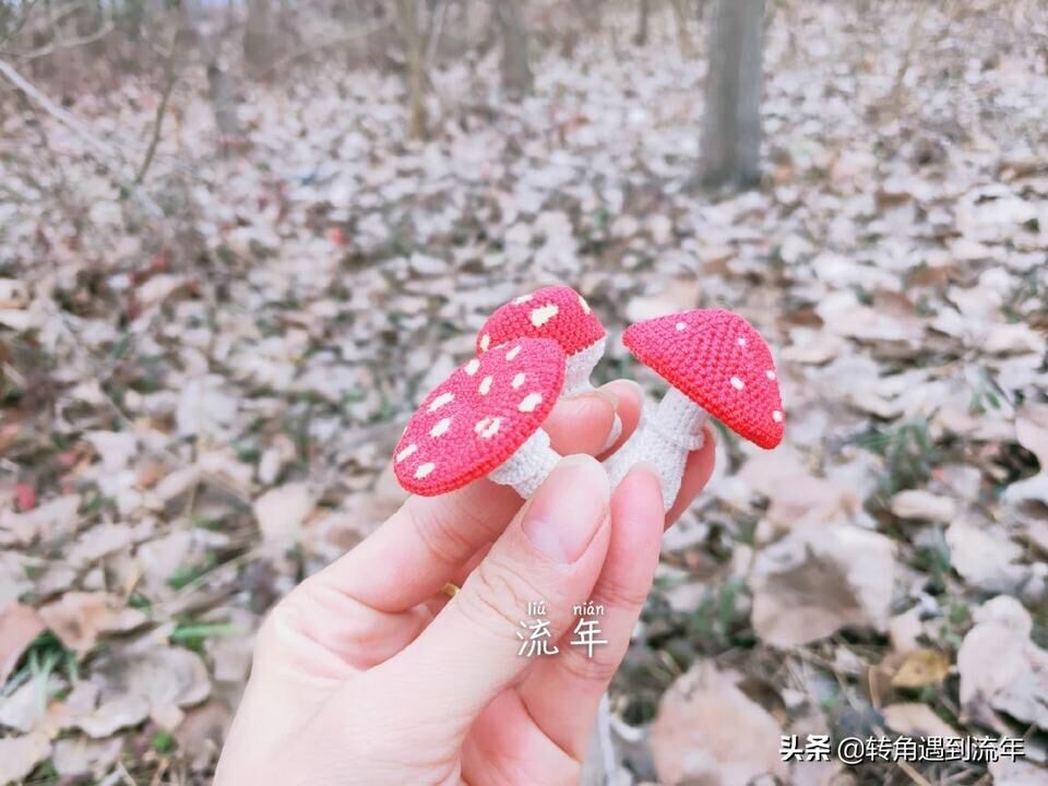 造物记/这些圣诞礼物的阵容太强大了!谁是造物主?