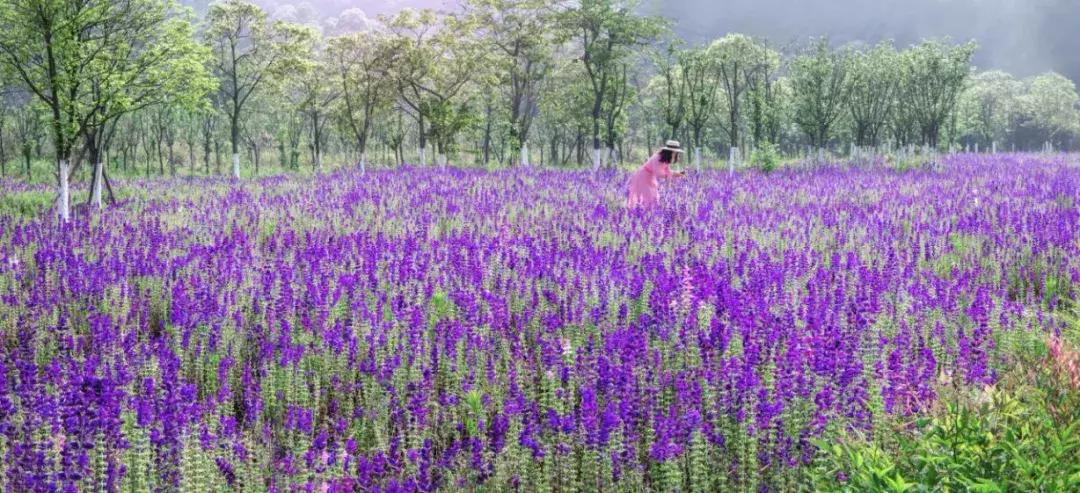 乐山市生态文明,庆祝新中国成立70周年特辑宣讲
