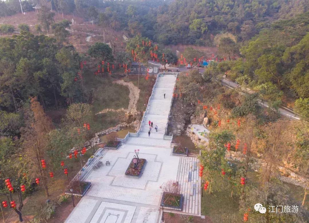繁花似锦樱花美景,繁花似锦的花海