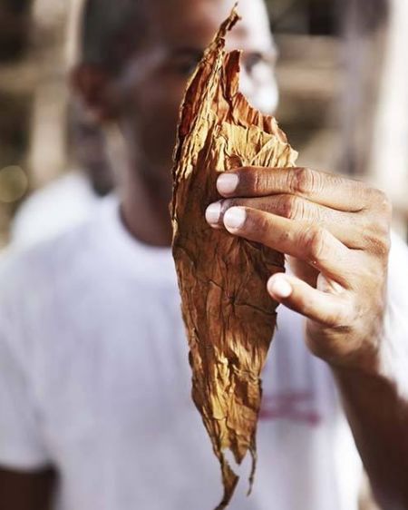 吸烟会遭酷刑，卖烟就会犯法，人类为什么仍抵抗不住*草烟**的诱惑？