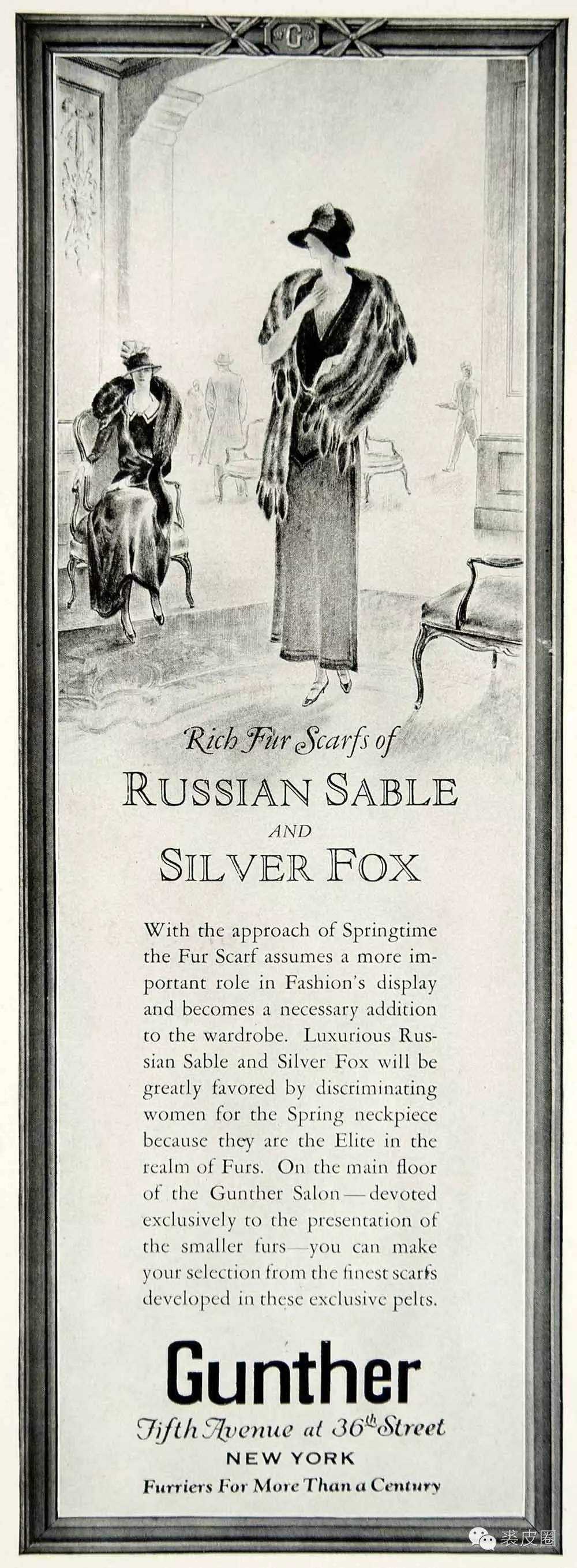 裘中之王野生紫貂,裘中之王是什么意思