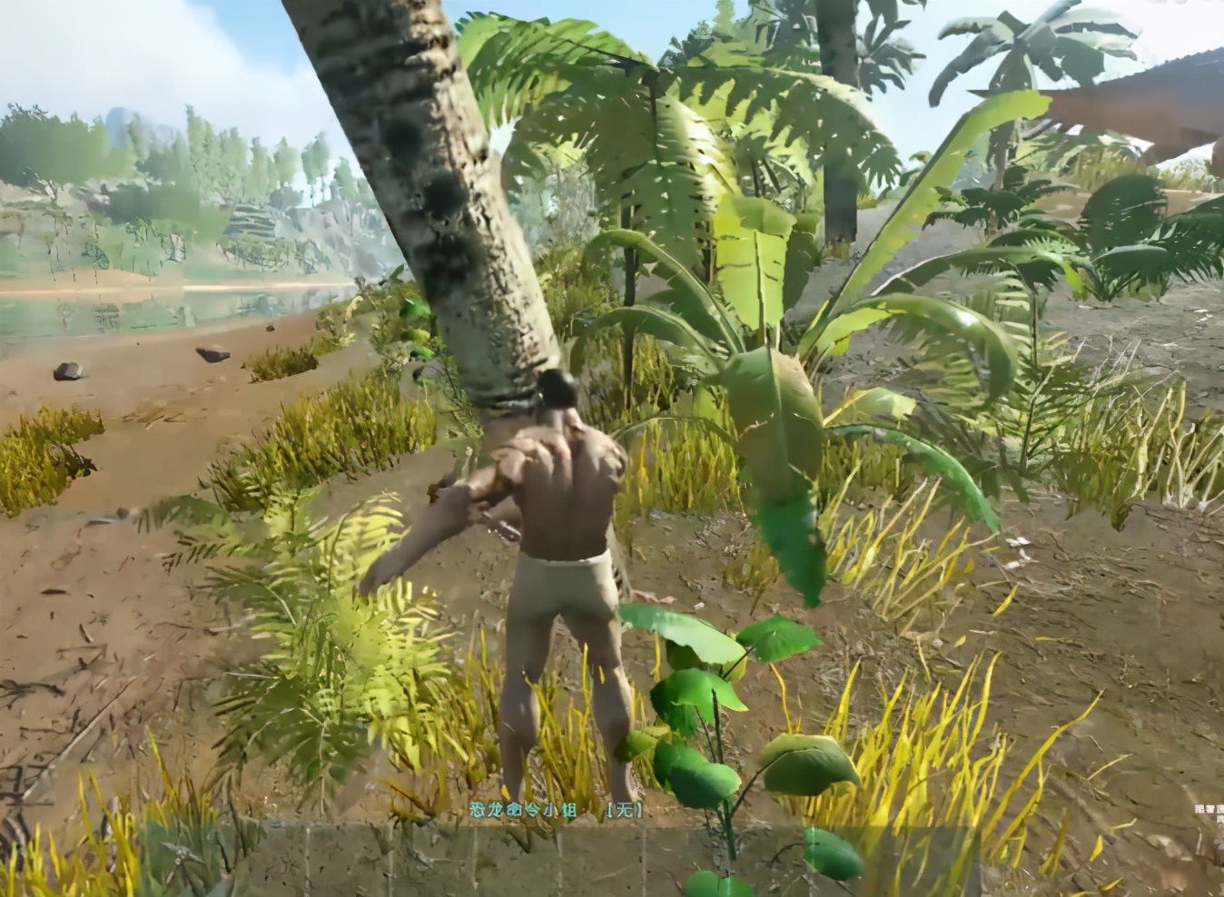 方舟生存帮老外戒掉网瘾,方舟帮老外戒掉网瘾