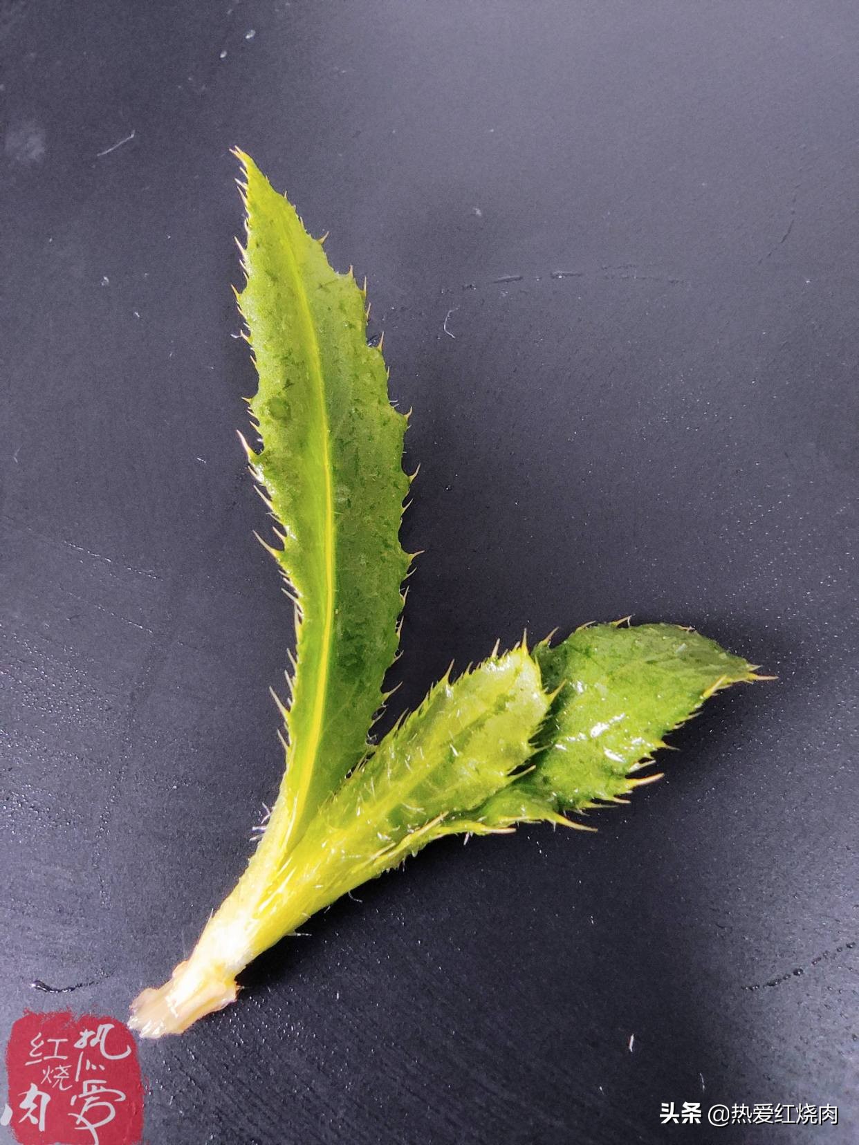 包菜团子怎样才能皮薄馅大,包菜怎么样才包得好