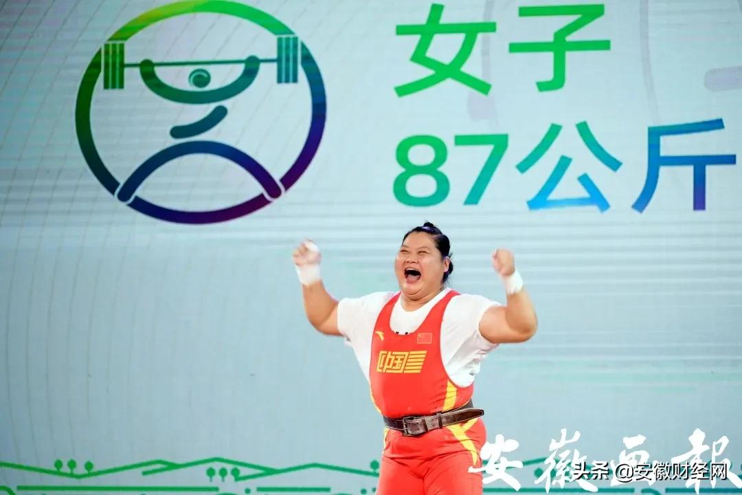 十三届全运会安徽成绩,安徽全运会奖牌榜