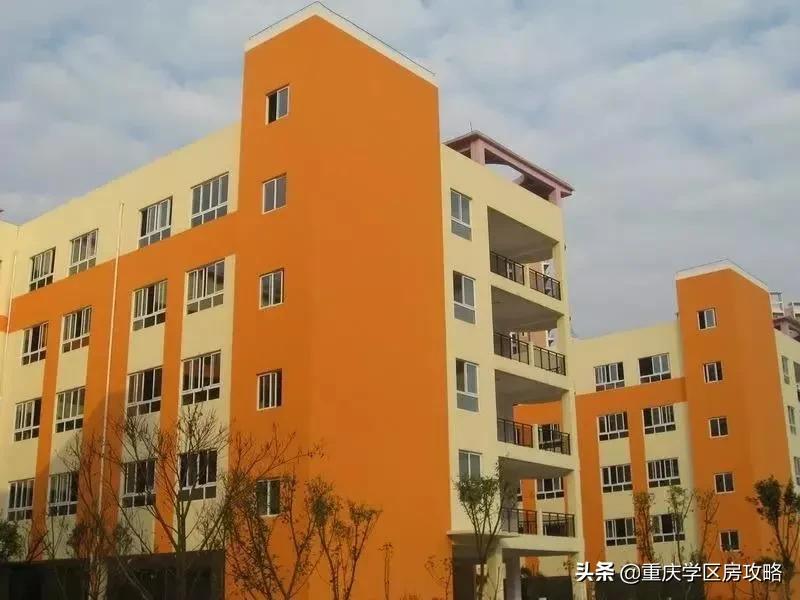 南岸最强初中,南岸区初中最好的学校排名