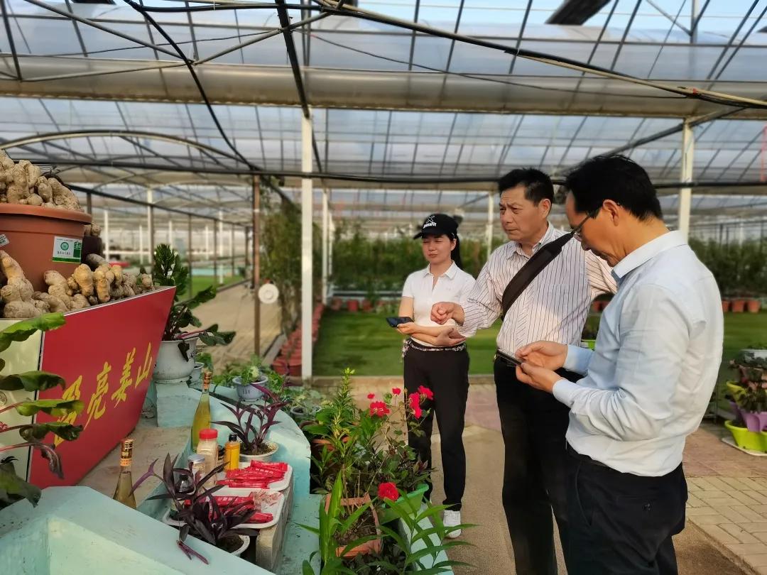 汉川5天周边游攻略,汉川徒步旅游攻略一日游