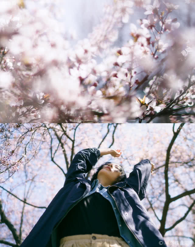 港风美人的在樱花树下的邂逅，感受春天情绪的蔓延