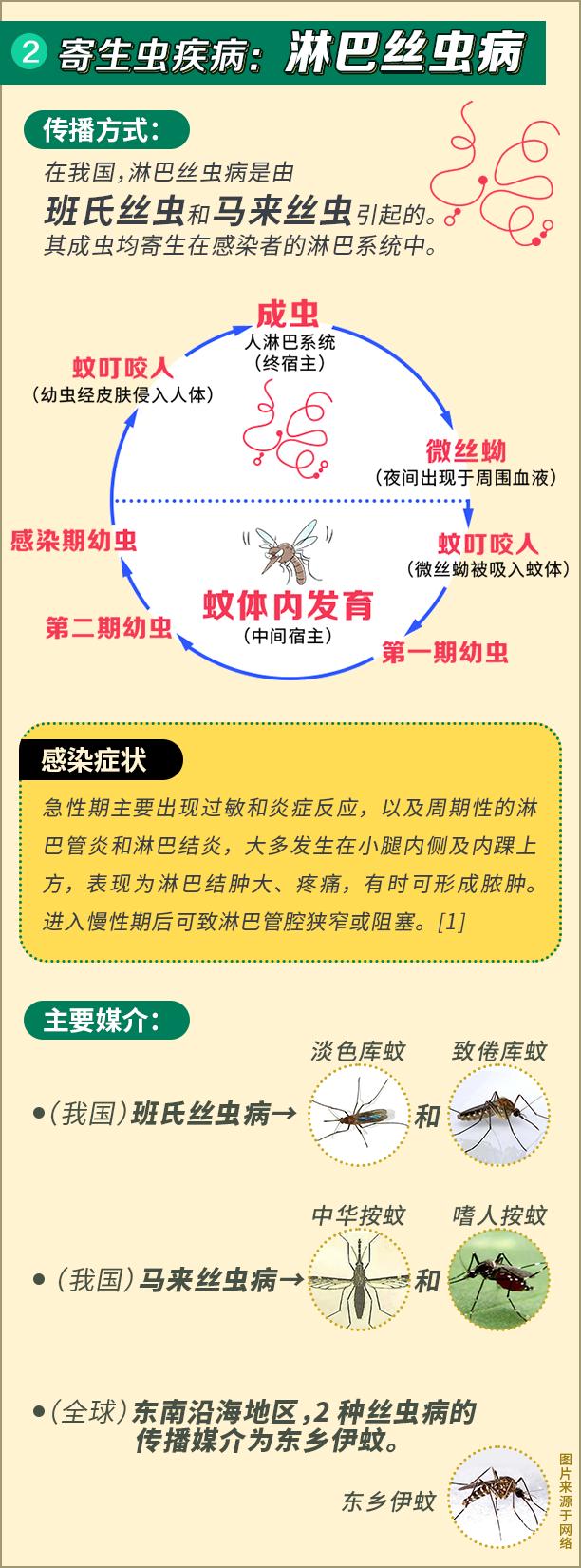 驱蚊剂治蚊子最好的方法,小蚊子的克星是什么