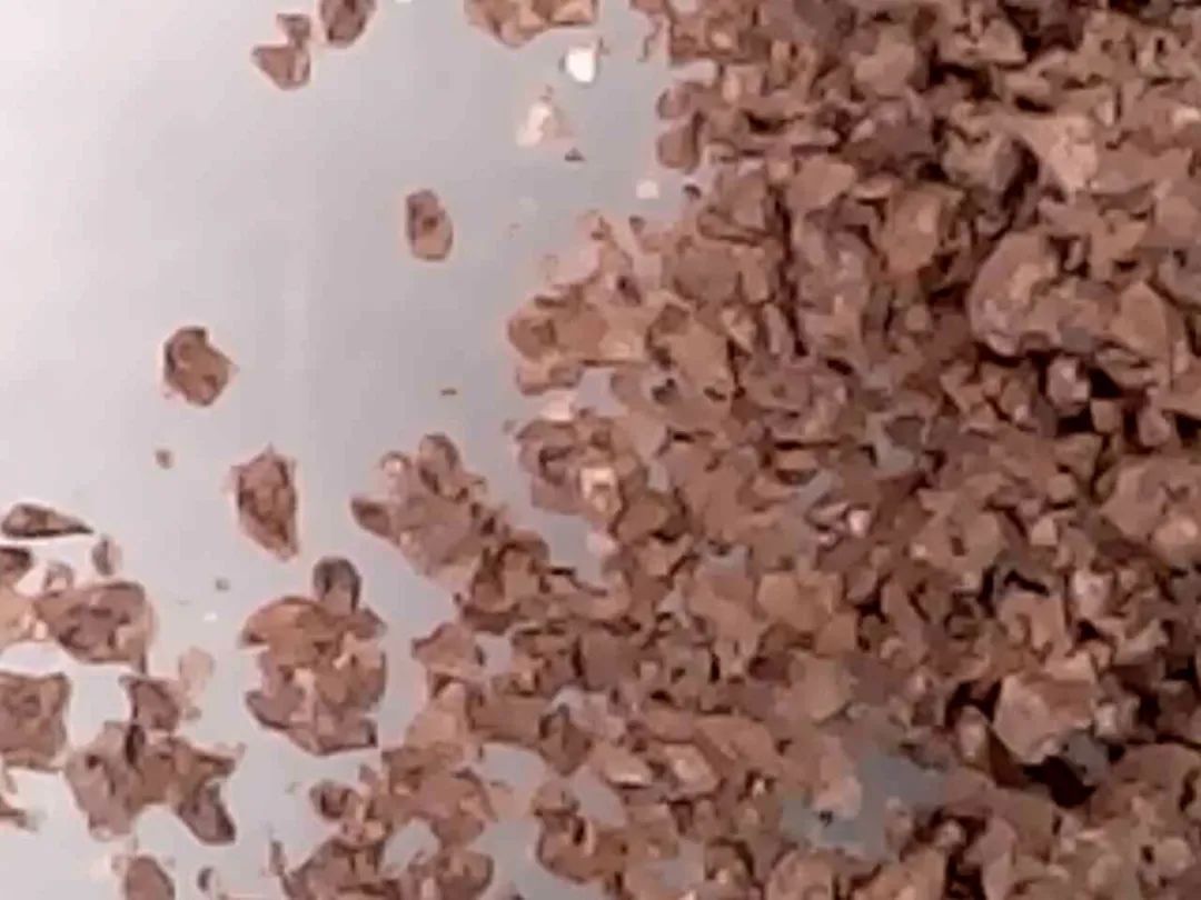 暑假孩子玩手机不如打篮球吧,儿童显微镜放大蚂蚁120倍